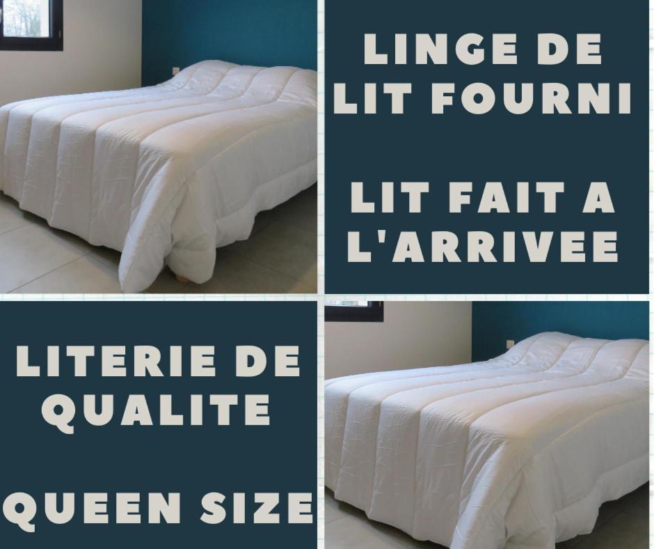 Les Jardins D'Oc - Wifi, Terrasse Et Jardinet - Appart T2 Neuf Soual Luaran gambar